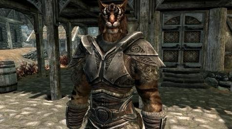 上古卷轴5：重置版MOD Khajiit随从Jizarko