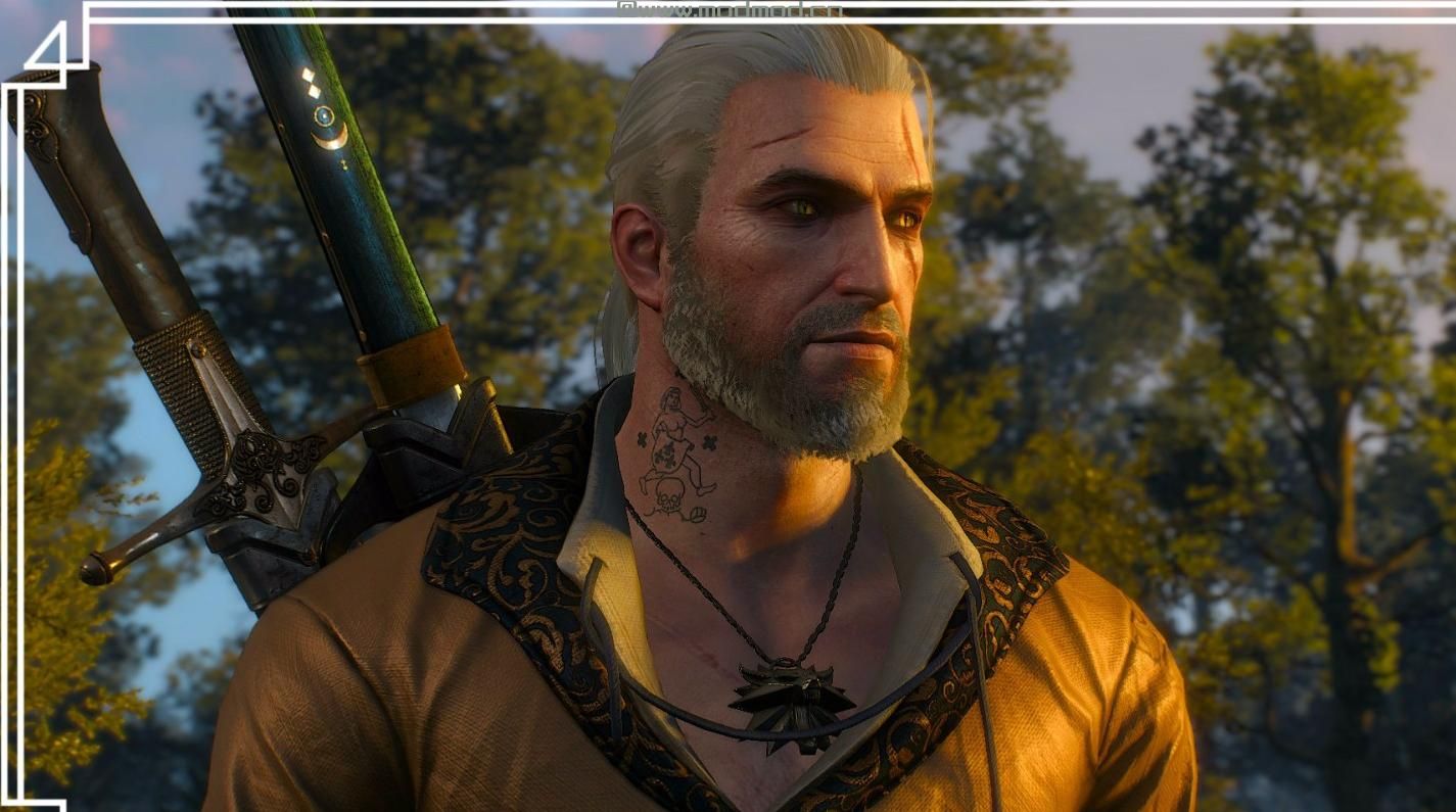 巫师3：狂猎MOD Princely Robe（王子的长袍）