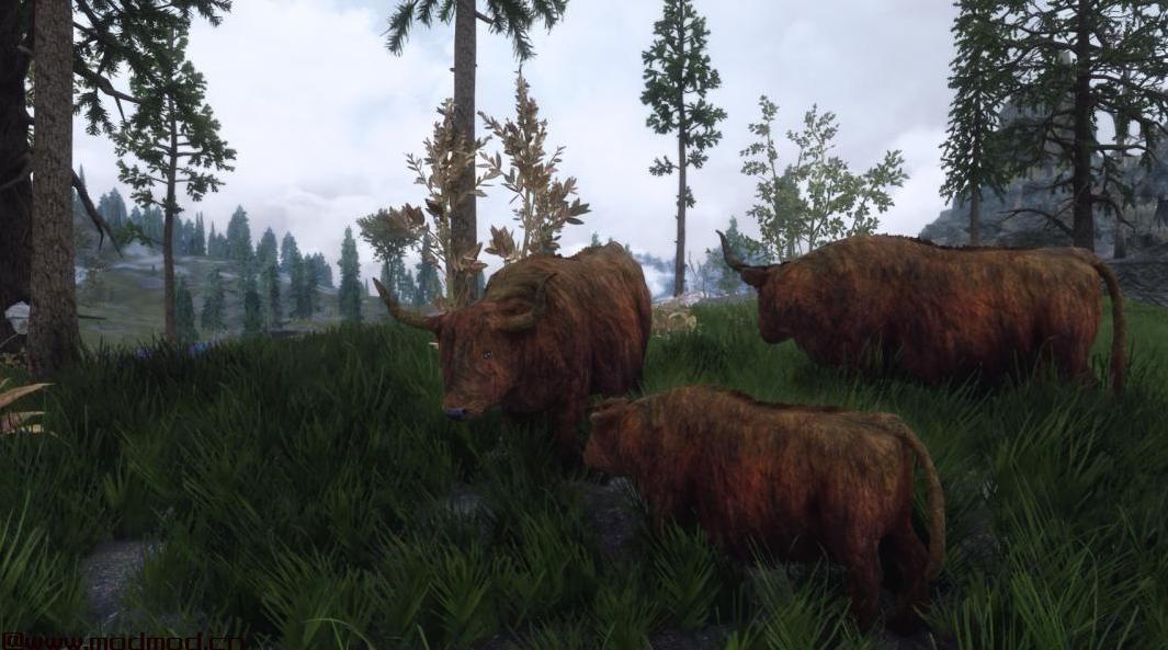 上古卷轴5：重置版MOD Pfuscher的Highlandcow HD