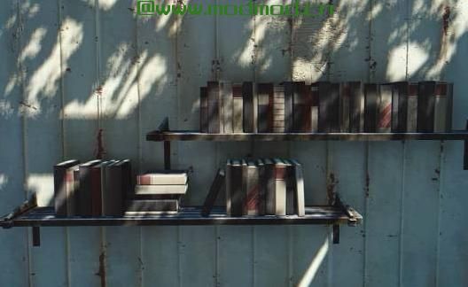 辐射4MOD 做它Yourshelf  - 杂乱的货架和书柜