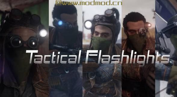 辐射4MOD 【身临其境】战术头灯 V 1.0.4 Localization