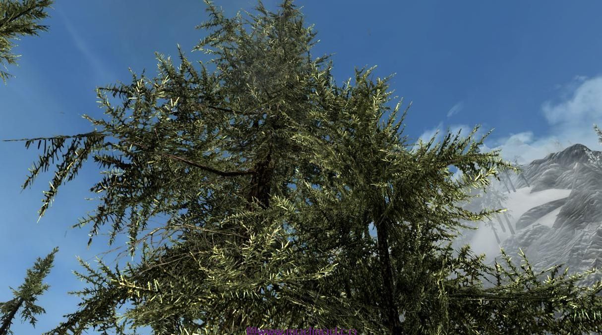 上古卷轴5：重置版MOD 香草灌木和灌木和植物Waifu&rsquo;d（WIP）
