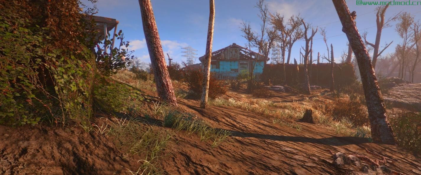 增强的荒地预设