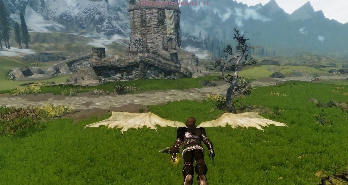 上古卷轴5：天际MOD 草地mod！属于炸鸡、低配！效果并不弱于Grass，客官您真的不来看看？