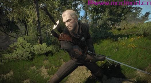 巫师3：狂猎MOD 更好的Geralt