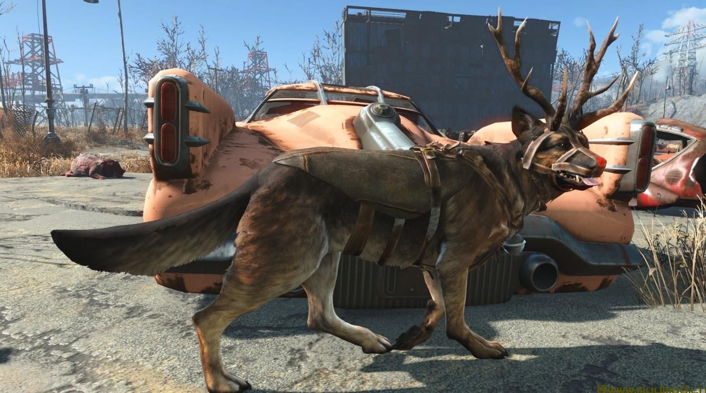 辐射4MOD 狗肉驯鹿服装