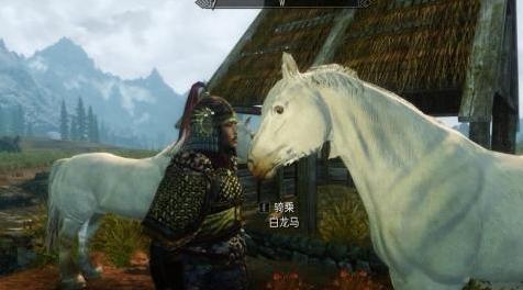 上古卷轴5：天际MOD 白龙马坐骑，希望大家喜欢