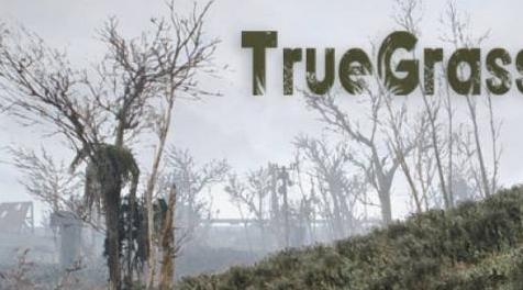 辐射4MOD 真实的草地