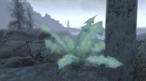 上古卷轴5：重置版MOD Nirnroot A生活的声音