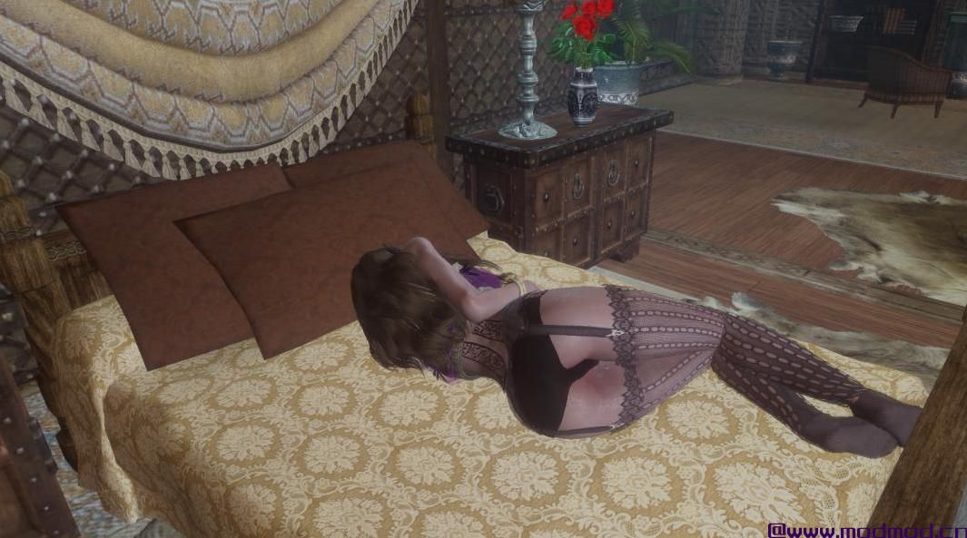 上古卷轴5：重置版MOD RohZima Immersive Animated Poses II（适用于PoserHotkeys）