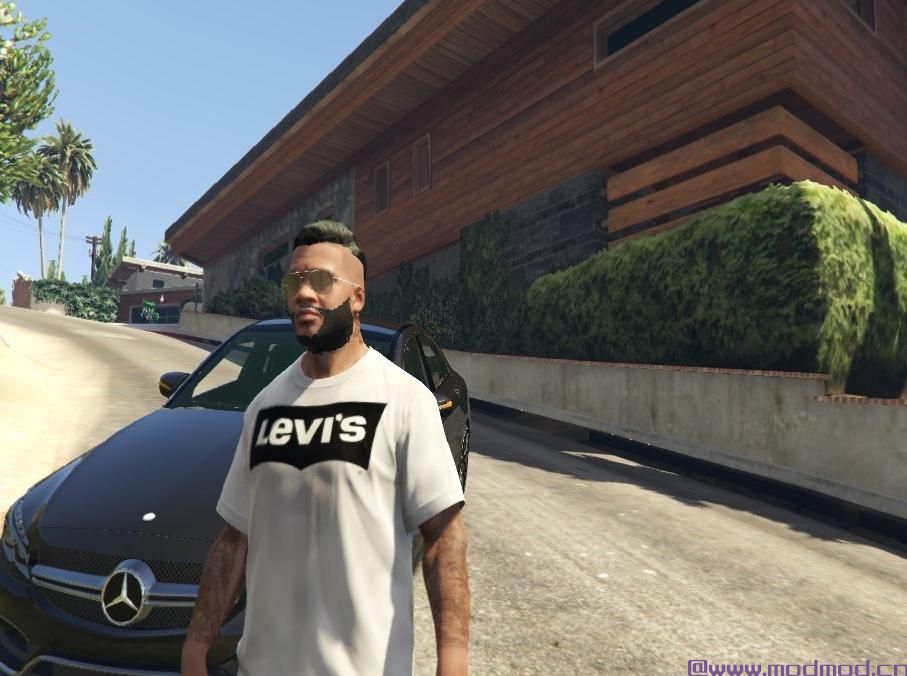 侠盗猎车手5「GTA5」Mod: 品牌T恤