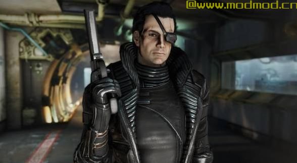 CROSS_Courser Strigidae