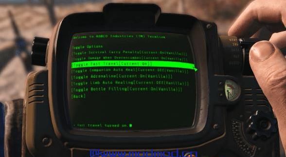 辐射4MOD 生存选择