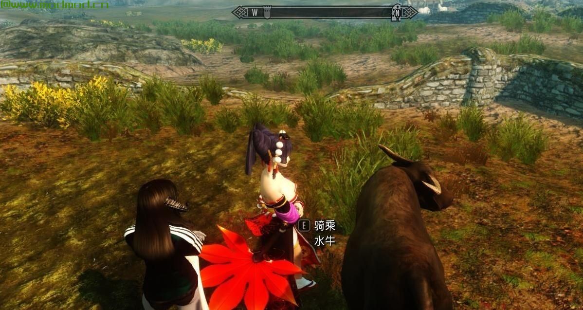 上古卷轴5：天际MOD 水牛坐骑，中国风的水牛坐骑