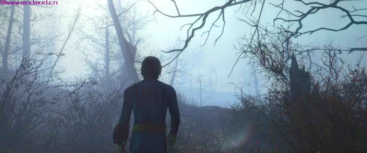 辐射4MOD 增强的荒地预设