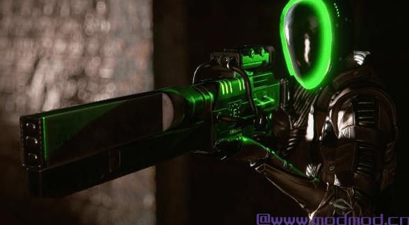 CROSS_Courser Strigidae