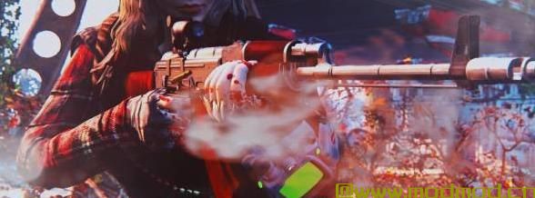 模块化卡拉什突击步枪