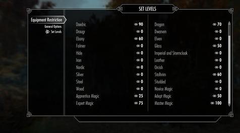 上古卷轴5：重置版MOD TDF设备限制