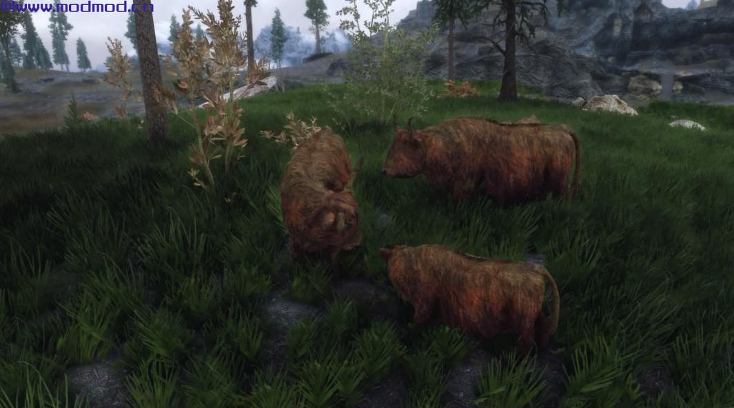 上古卷轴5：重置版MOD Pfuscher的Highlandcow HD