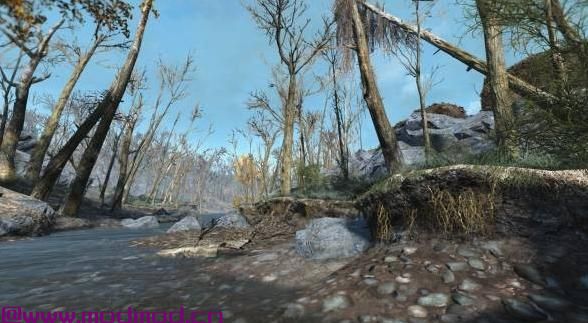 一点点绿色（绿色编辑的现实触摸）