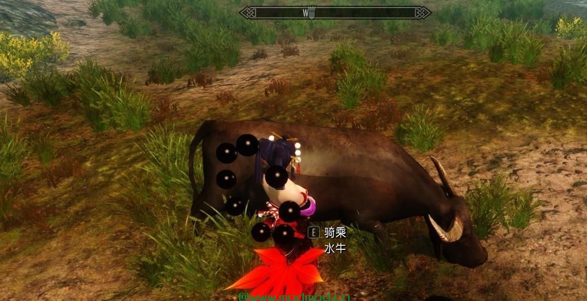 上古卷轴5：天际MOD 白龙马坐骑，希望大家喜欢