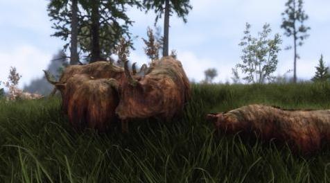 上古卷轴5：重置版MOD Pfuscher的Highlandcow HD
