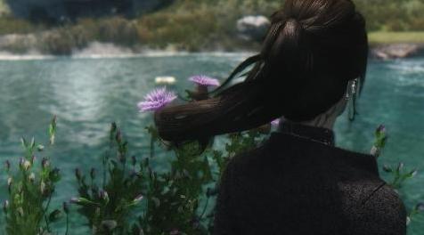 上古卷轴5：天际MOD HDT Luckystars Hair 几款SG动态发型，独立版。