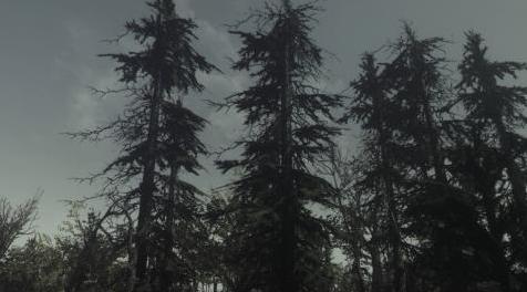 辐射4MOD 松树重做 -  BNS