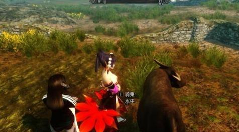 上古卷轴5：天际MOD 水牛坐骑，中国风的水牛坐骑