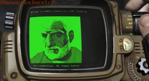 可见伴侣亲和力