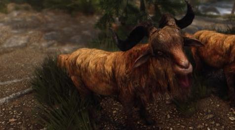 上古卷轴5：重置版MOD Pfuscher的GOAT 高清