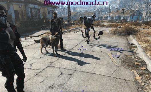 辐射4MOD 无限伴侣框架