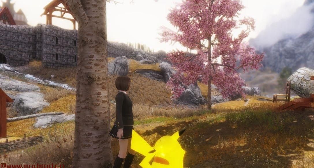 上古卷轴5：天际MOD 皮卡丘MOD-这么可爱还不快把它抱回家？【搬运+修改】2016.02.18瘦身成功