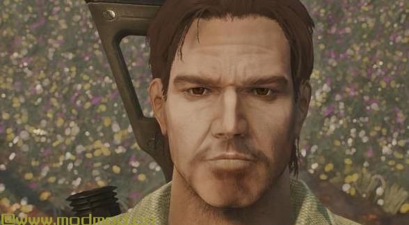 真正的高清脸纹理2k