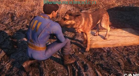 露营地 - 简单荒地露营(和高清睡袋)