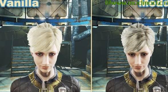 荒地沙龙 - 头发纹理改善Mod