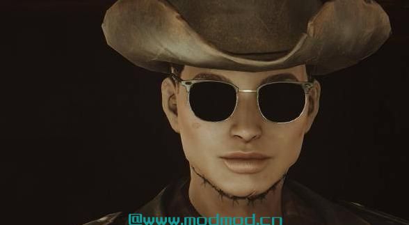 辐射4MOD 真正的高清脸纹理2k