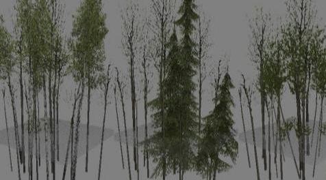 骑马与砍杀MOD Dense rePolished Trees 密集的树木