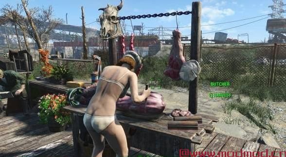 NorthlandDiggers Resources - 动物 - 风景 - 花园等......