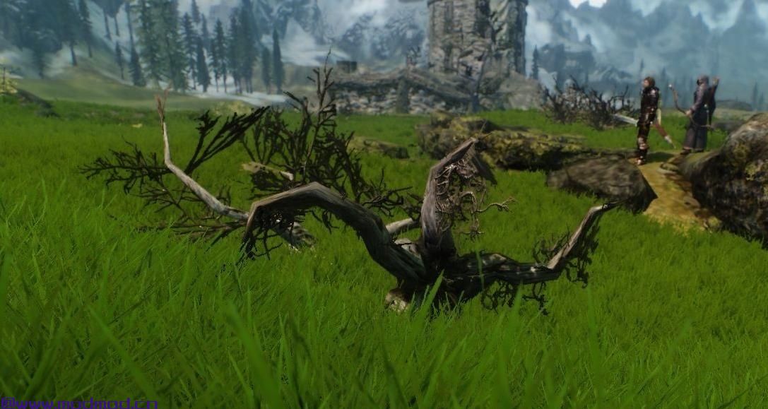 上古卷轴5：天际MOD 草地mod！属于炸鸡、低配！效果并不弱于Grass，客官您真的不来看看？