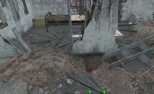 Heather Casdin  -  llamaRCA独特的伴侣体验