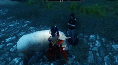 上古卷轴5：天际MOD 谁说天际没有猪，家猪坐骑