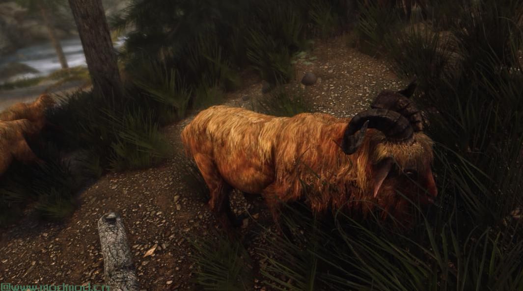 上古卷轴5：重置版MOD Pfuscher的GOAT 高清