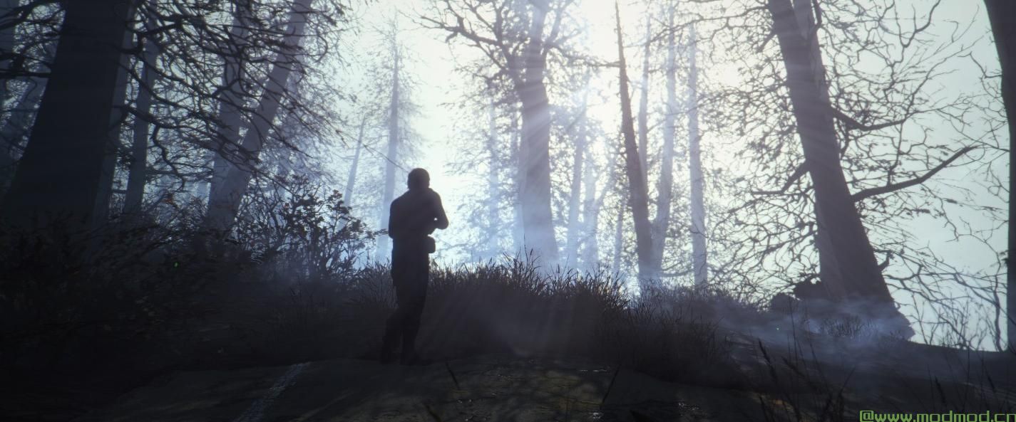 辐射4MOD 增强的荒地预设