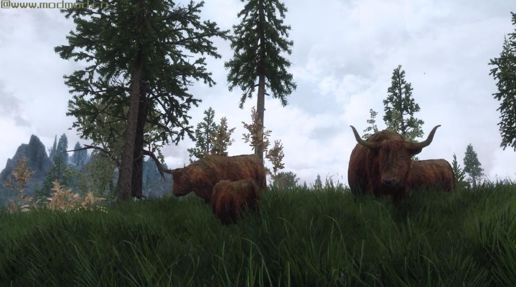 上古卷轴5：重置版MOD Pfuscher的Highlandcow HD