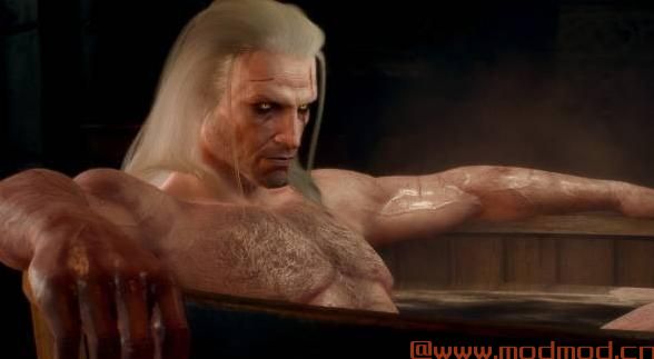 巫师3：狂猎MOD Geralt Bodyhair（毛发旺盛）