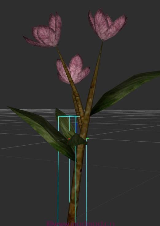 上古卷轴5：重置版MOD 3D Technicolor Alchemy  -  Technicolor Alchemy和3D Skyrim树木和植