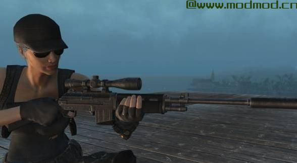 G67 Battle Rifle - 独立式