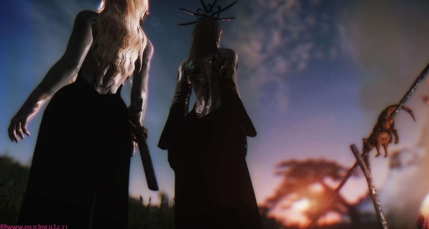 上古卷轴5：天际MOD 捏脸狂魔wangruanyifu 前辈的最爱 &mdash;&mdash; ANK宫殿礼群