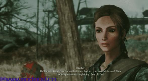 辐射4MOD Heather Casdin  -  llamaRCA独特的伴侣体验